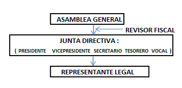 Organigrama